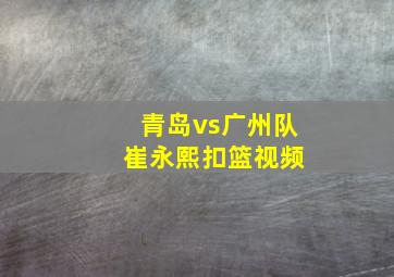 青岛vs广州队 崔永熙扣篮视频